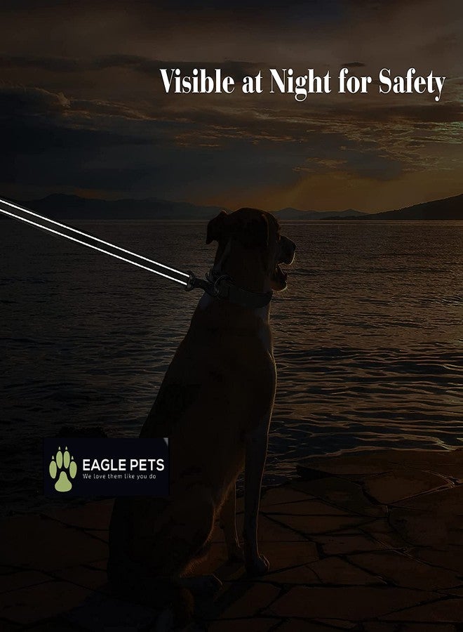 Eagle Pets 5FT Dog Leash, Double-Sided Reflective Nylon Dogs Leashes with Soft Padded Handle for Training, Walking Lead for Large, Medium & Small Dogs (Black 1inch). - Image 3